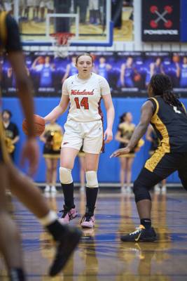 2026-02-27 Wakeland vs Memorial Girls Playoff Basketball-031.jpg