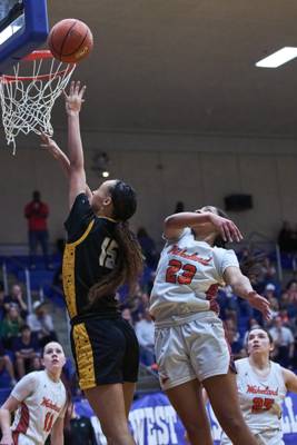 2026-02-27 Wakeland vs Memorial Girls Playoff Basketball-014.jpg
