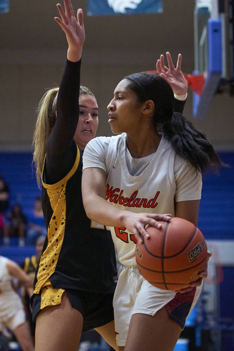 2026-02-27 Wakeland vs Memorial Girls Playoff Basketball-058.jpg