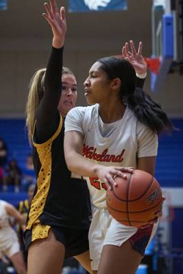2026-02-27 Wakeland vs Memorial Girls Playoff Basketball-058.jpg