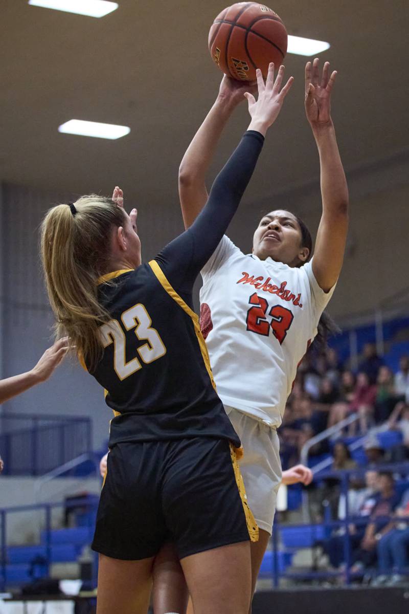 2026-02-27 Wakeland vs Memorial Girls Playoff Basketball-039.jpg